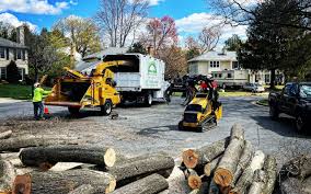 Best Lawn Pest Prevention  in Glen Dale, WV